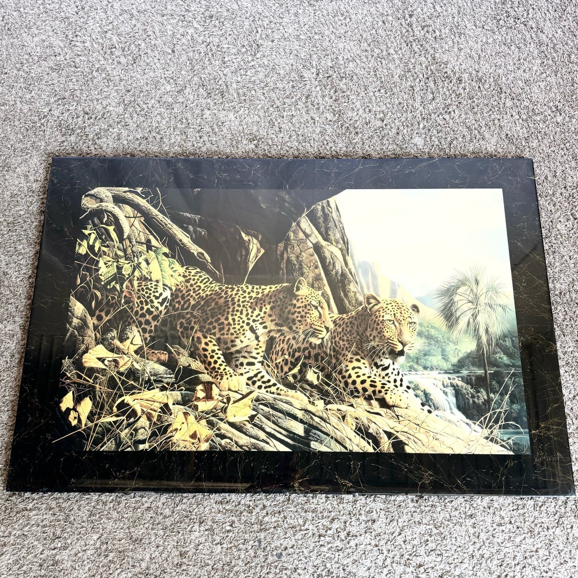 1990s “Leopard Sentry” Epoxied Print by Craig Bone - Dolphin & Flamingo
