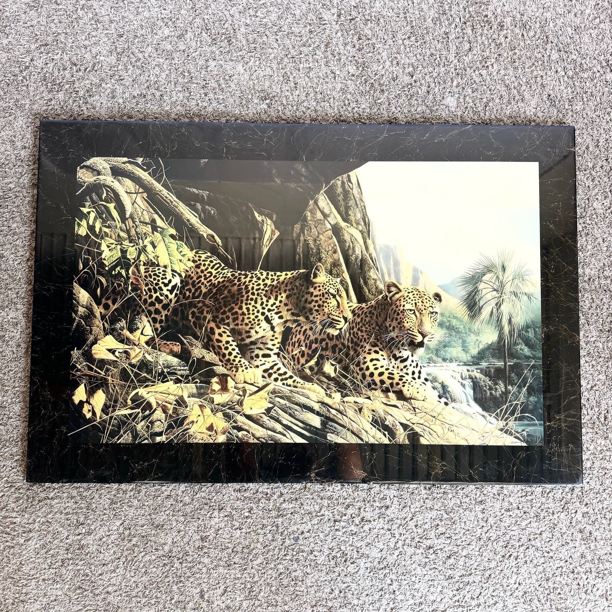 1990s “Leopard Sentry” Epoxied Print by Craig Bone - Dolphin & Flamingo