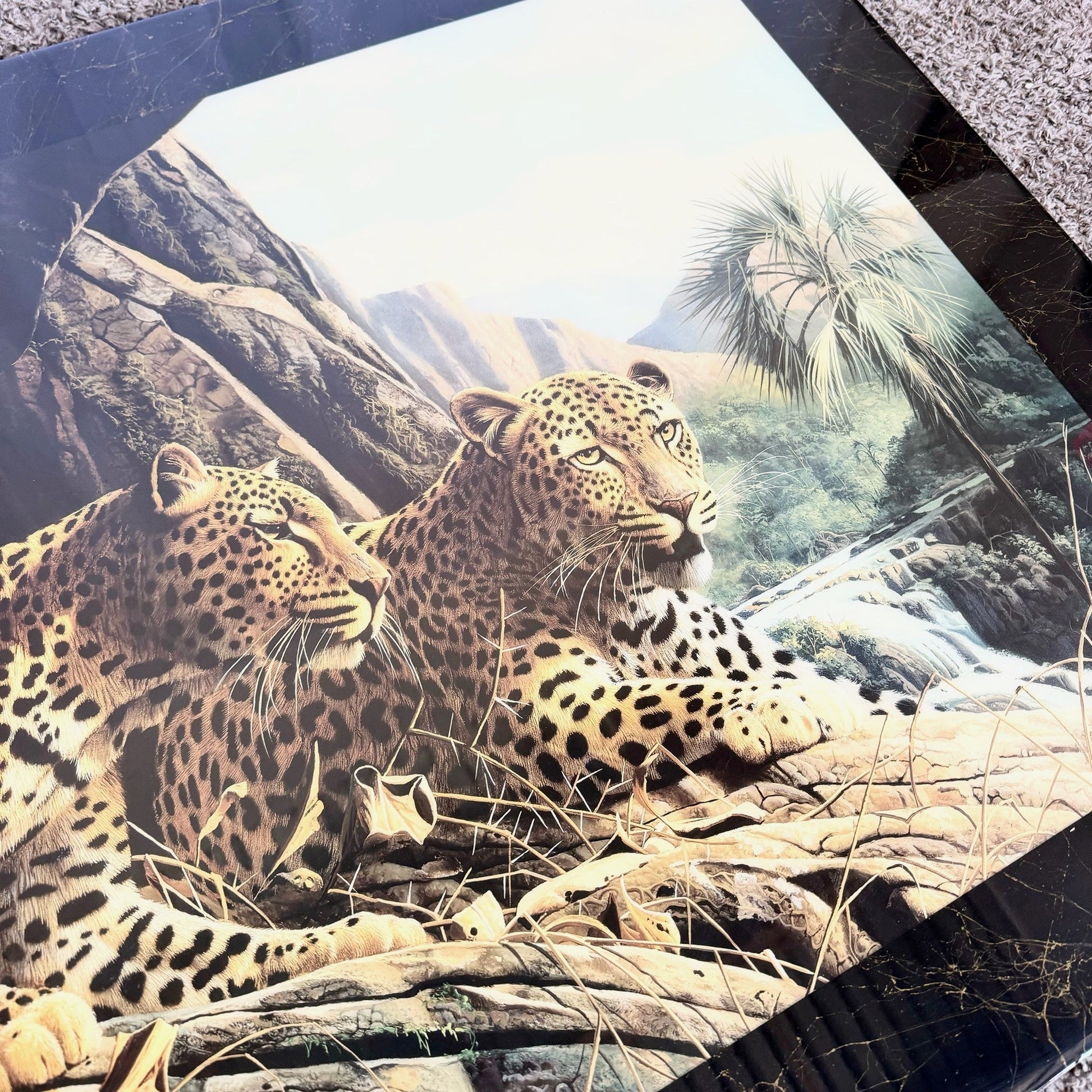 1990s “Leopard Sentry” Epoxied Print by Craig Bone - Dolphin & Flamingo