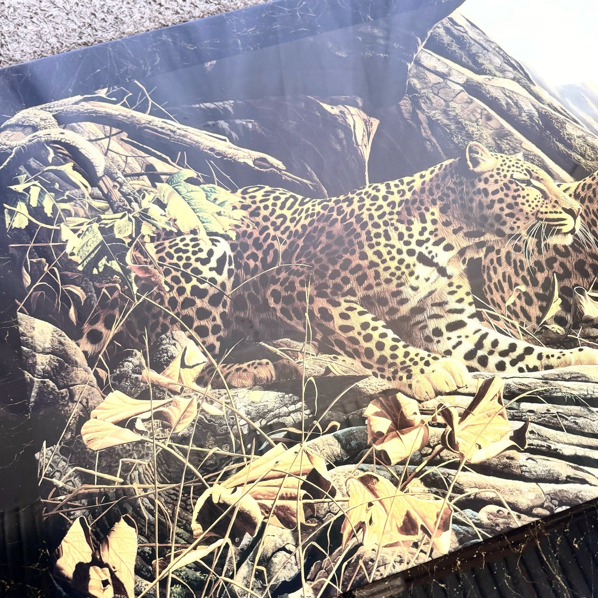 1990s “Leopard Sentry” Epoxied Print by Craig Bone - Dolphin & Flamingo