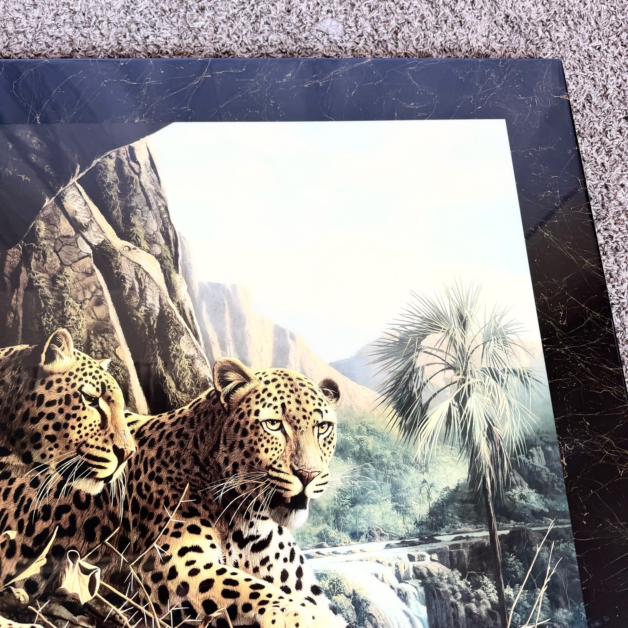 1990s “Leopard Sentry” Epoxied Print by Craig Bone - Dolphin & Flamingo