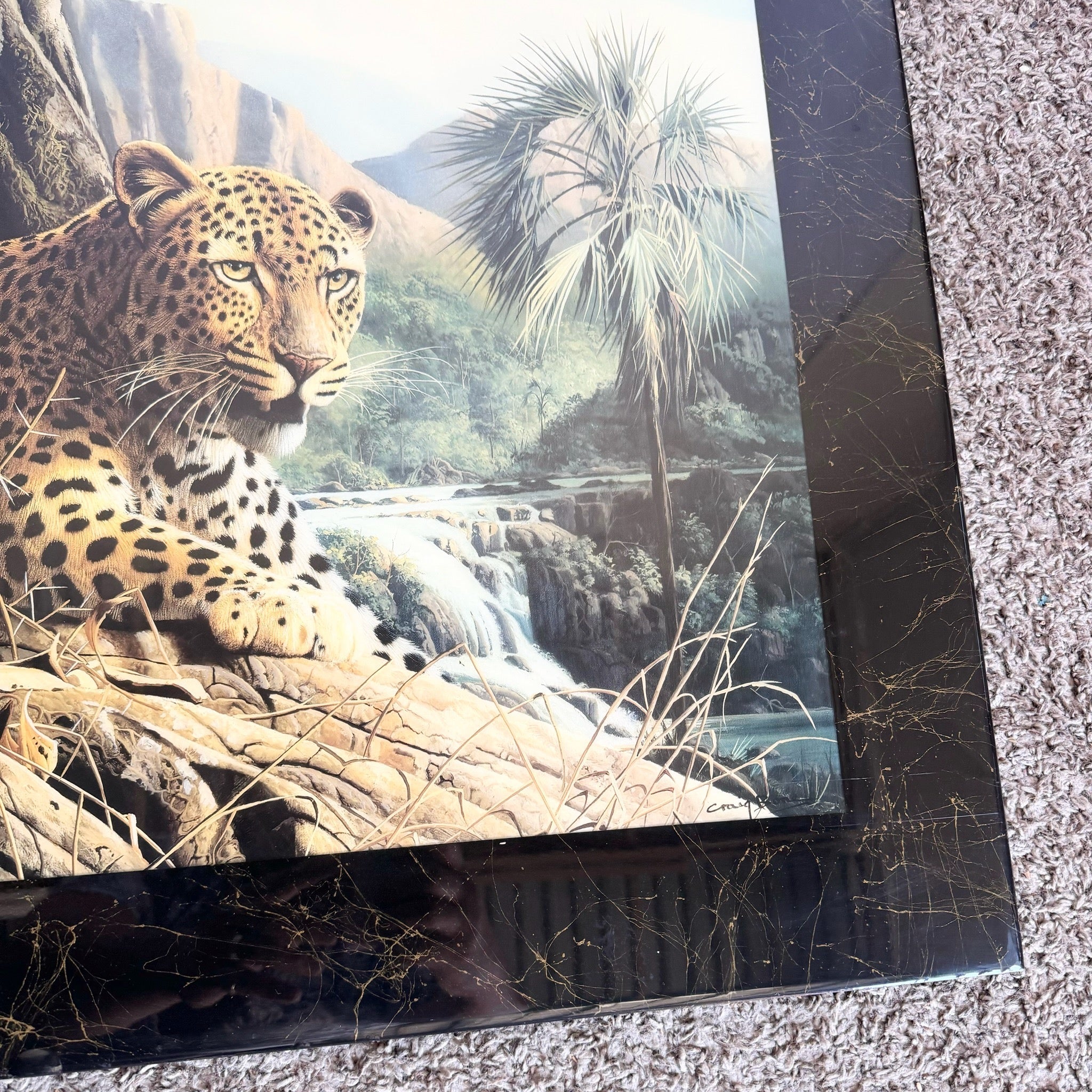 1990s “Leopard Sentry” Epoxied Print by Craig Bone - Dolphin & Flamingo