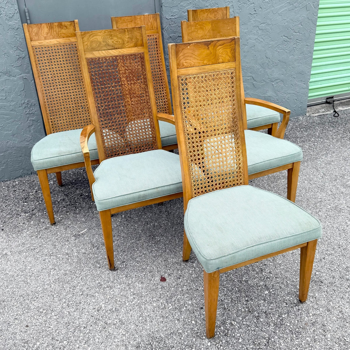 Mid Century Modern Burlwood Caneback Dining Chairs - Set of 6 Dolphin & Flamingo
