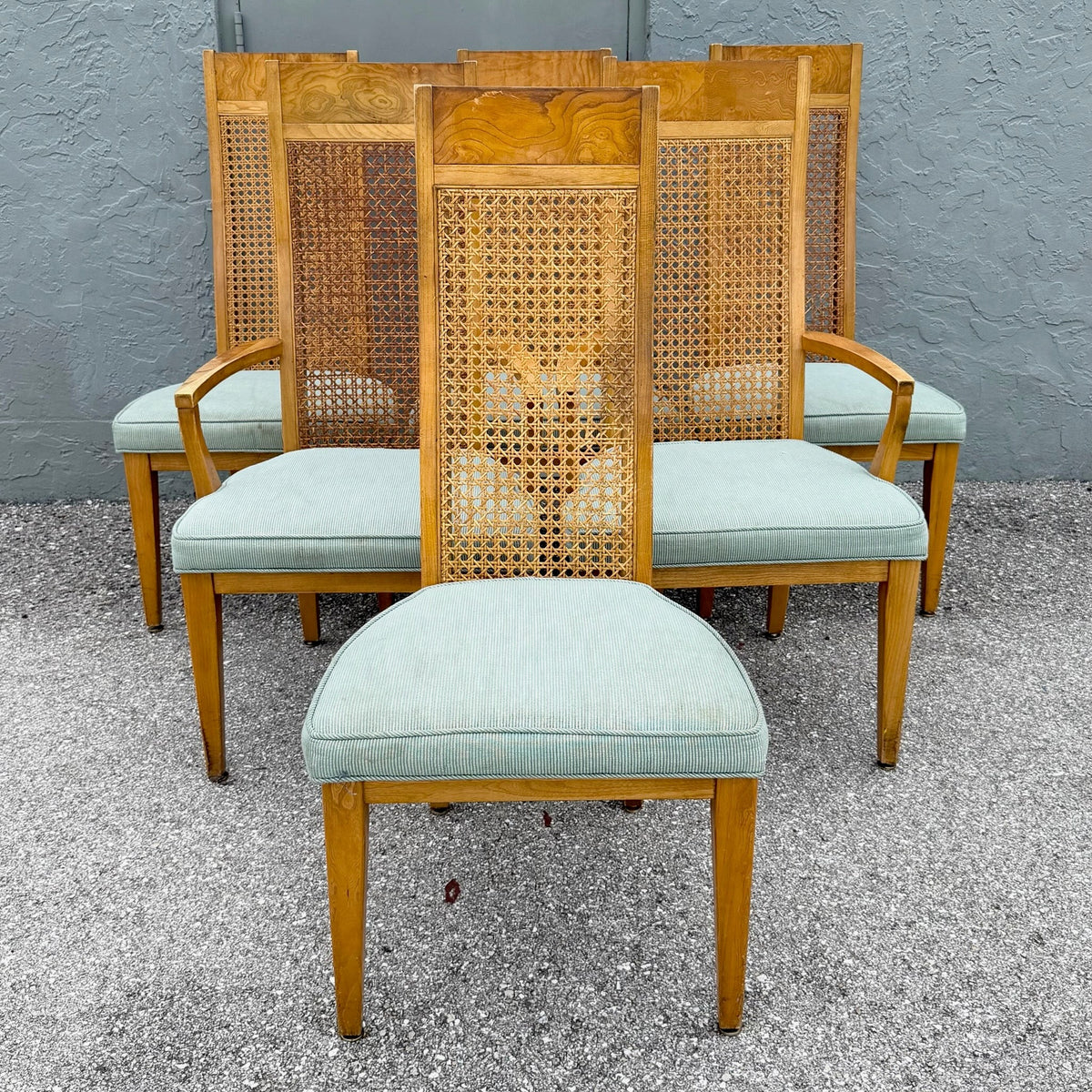 Mid Century Modern Burlwood Caneback Dining Chairs - Set of 6 Dolphin & Flamingo