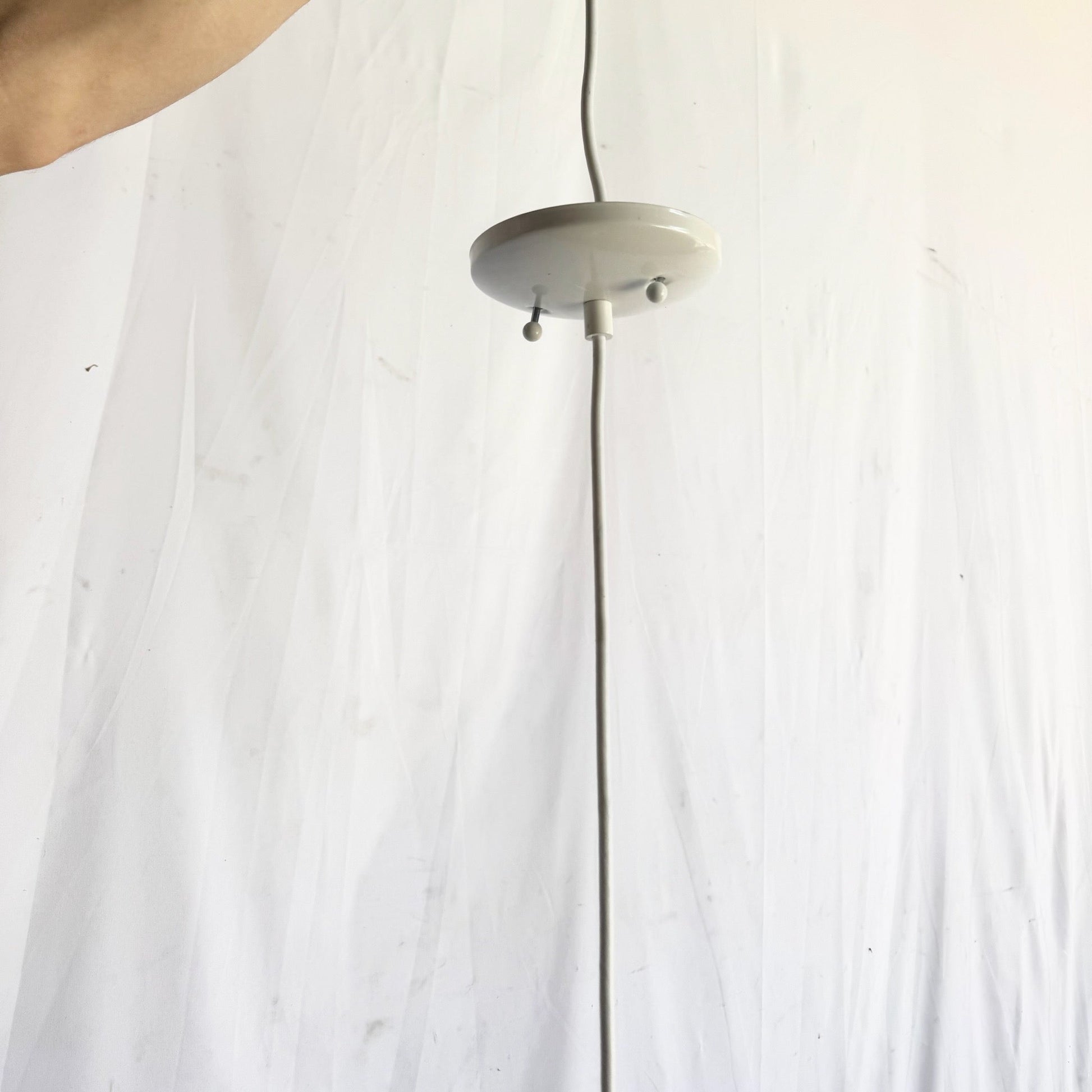 Hand Made Blown Glass Pendant Lamp Dolphin & Flamingo