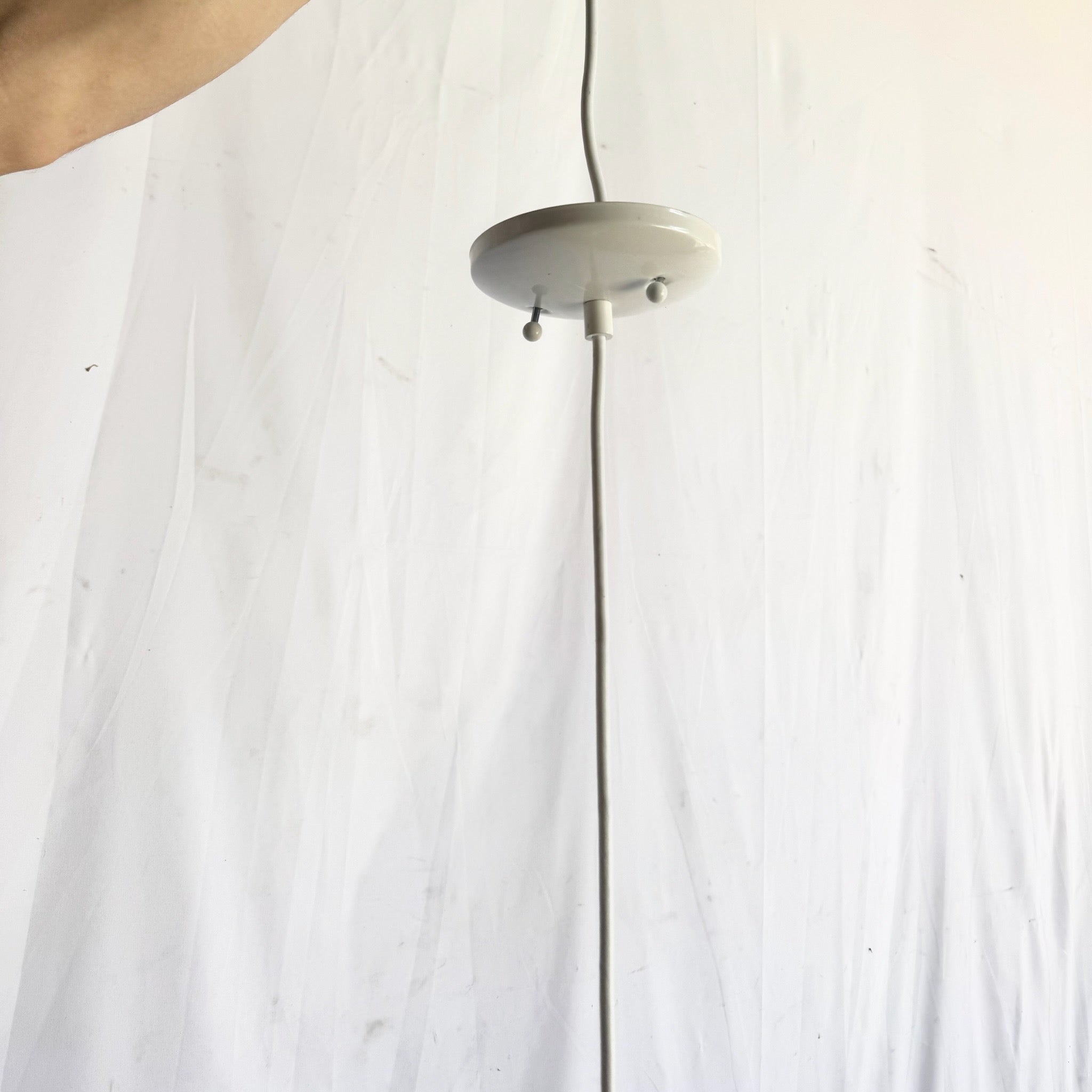 Hand Made Blown Glass Pendant Lamp Dolphin & Flamingo