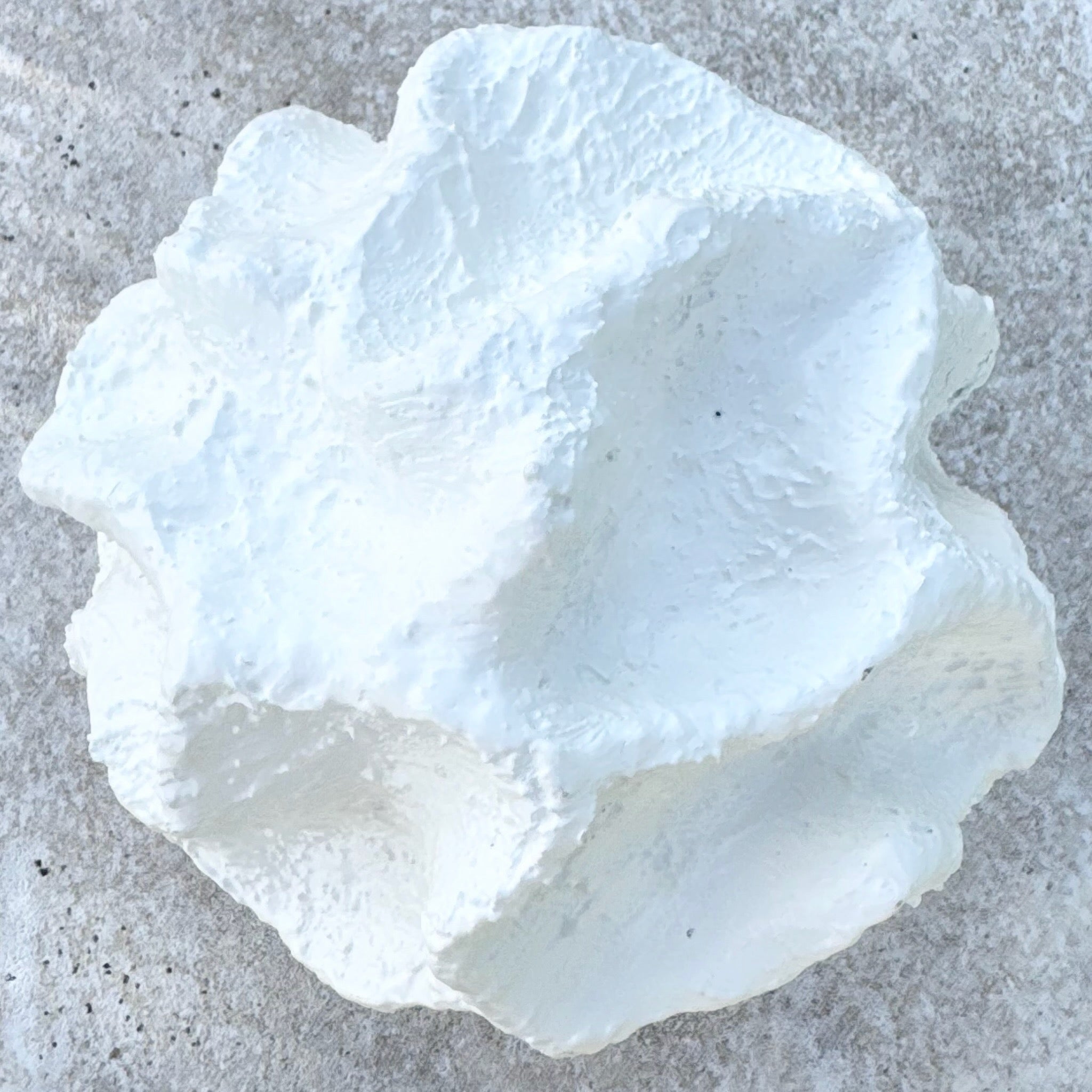 Minimalist Abstract Textured Spherical Plaster Sculpture Dolphin & Flamingo