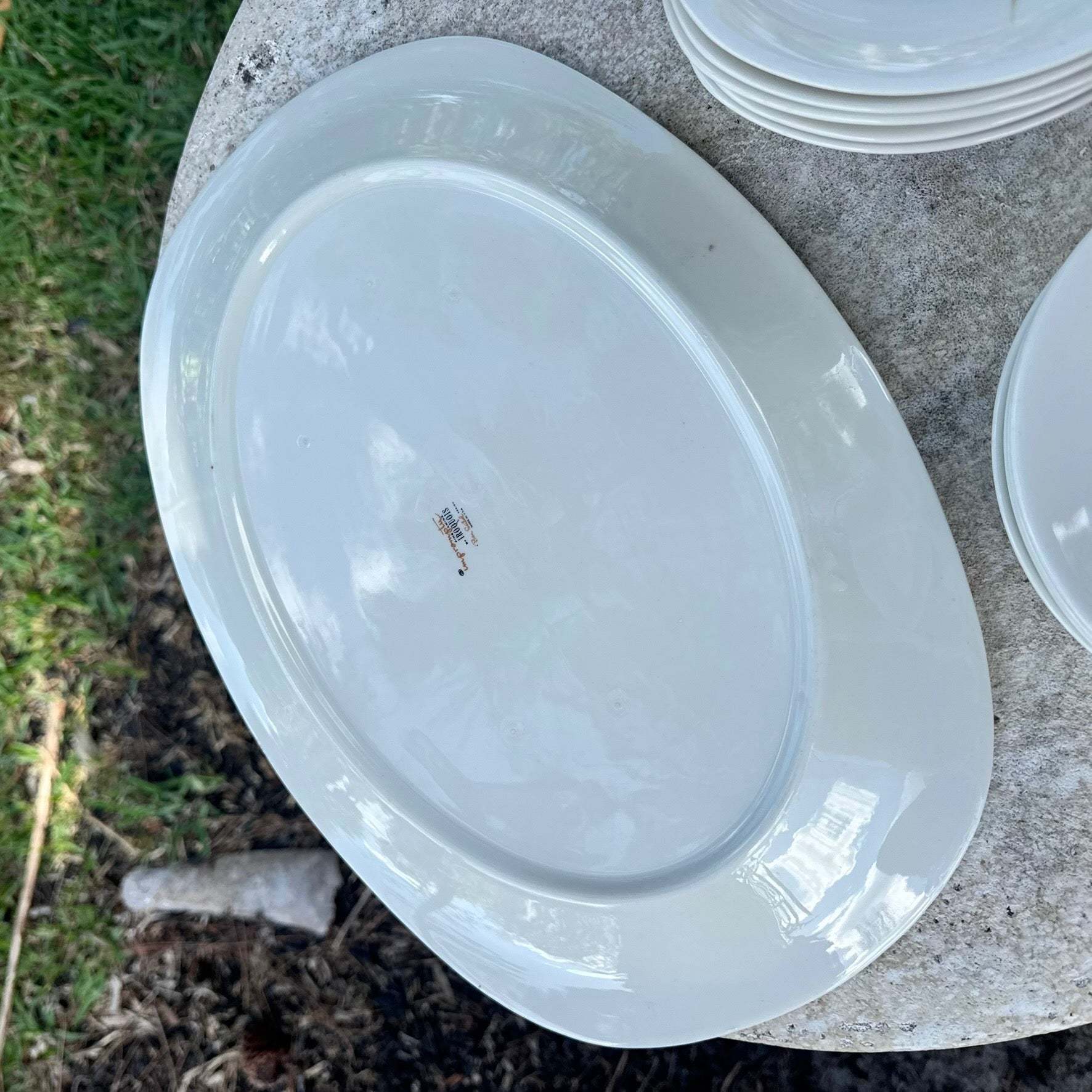 Mid Century Modern Iroquois Parasols Dish Set by Ben Seibel - 11 Pieces Dolphin & Flamingo