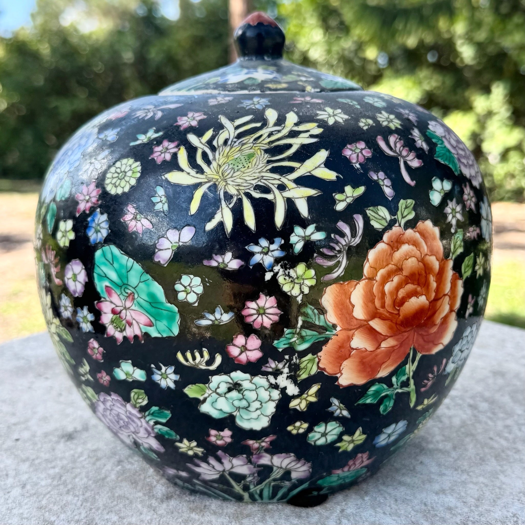 Vintage Chinese Hand Painted Porcelain Ginger Jar Dolphin & Flamingo