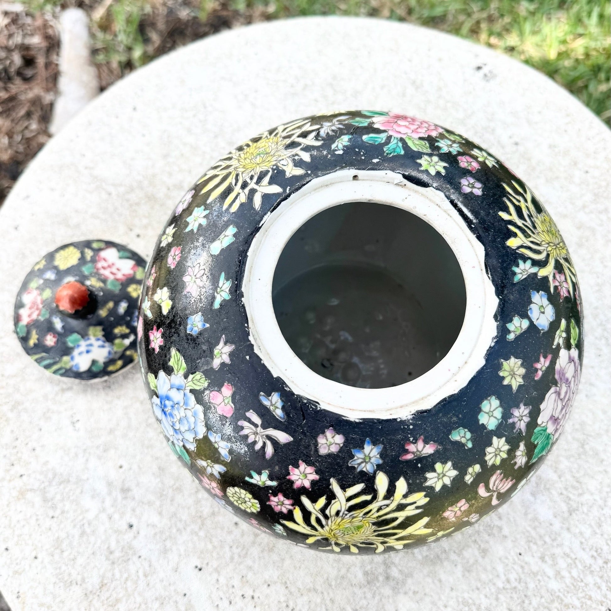 Vintage Chinese Hand Painted Porcelain Ginger Jar Dolphin & Flamingo