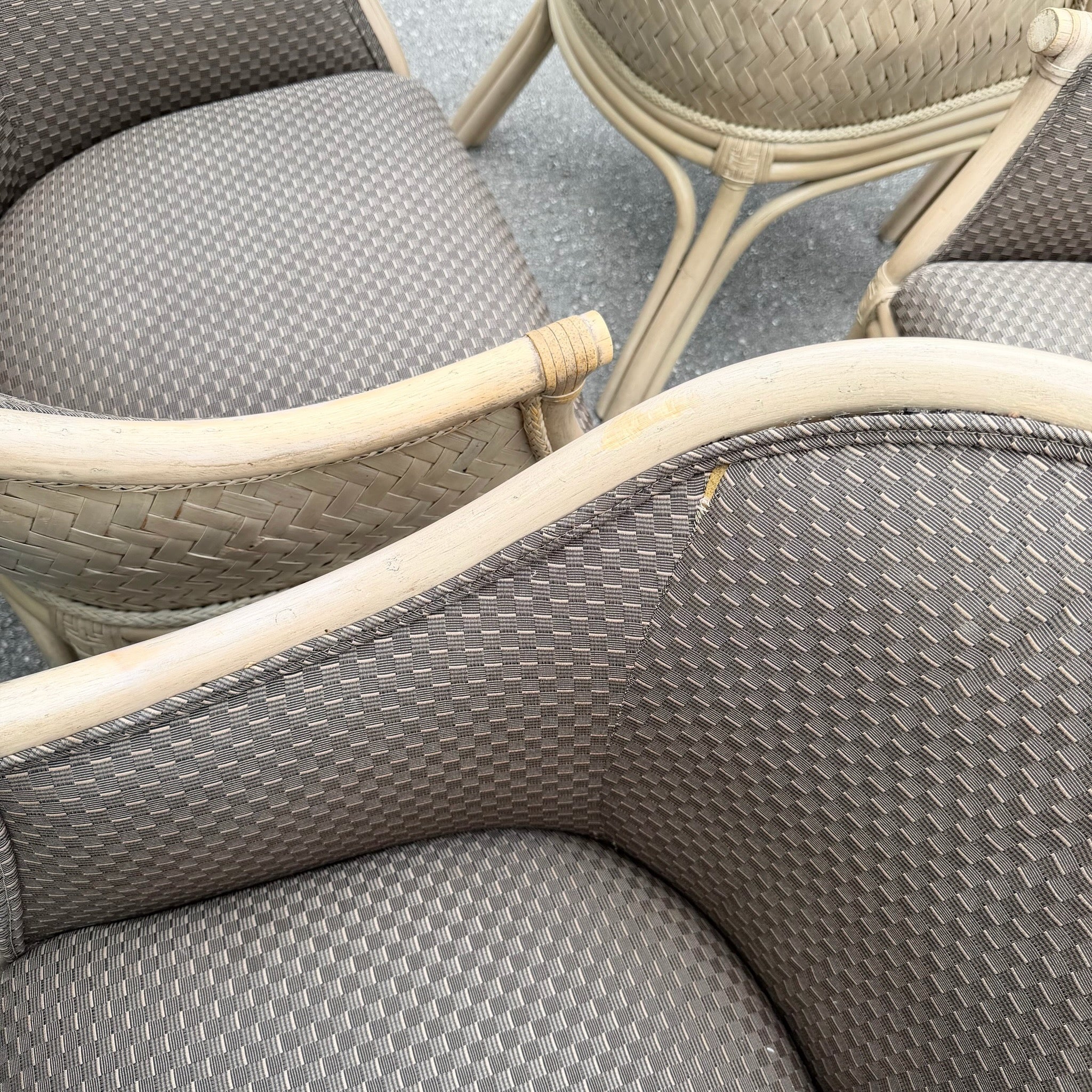 Boho Chic Rattan and Wicker Barrel Dining Chairs by Budji - Set of 6 Dolphin & Flamingo