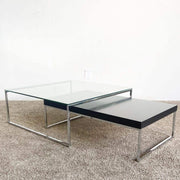 Chrome Glass Top and Wooden Top Nesting Coffee Table Set by Bo Concepts - Dolphin & Flamingo