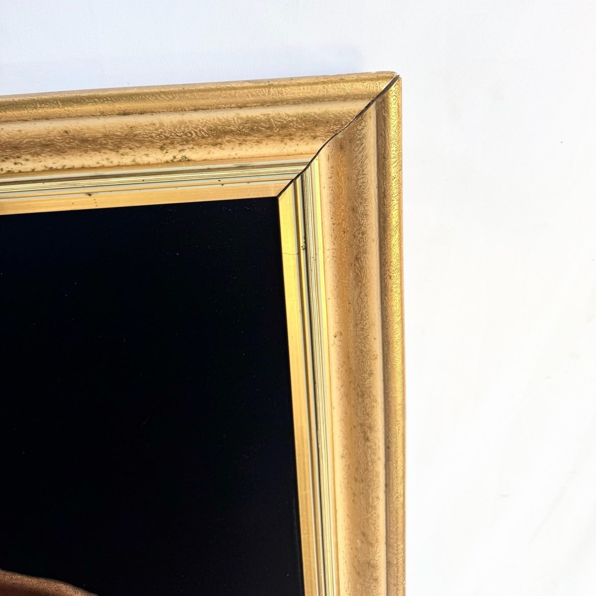 Framed Hand Painted Nude Woman on Black Velvet - Dolphin & Flamingo