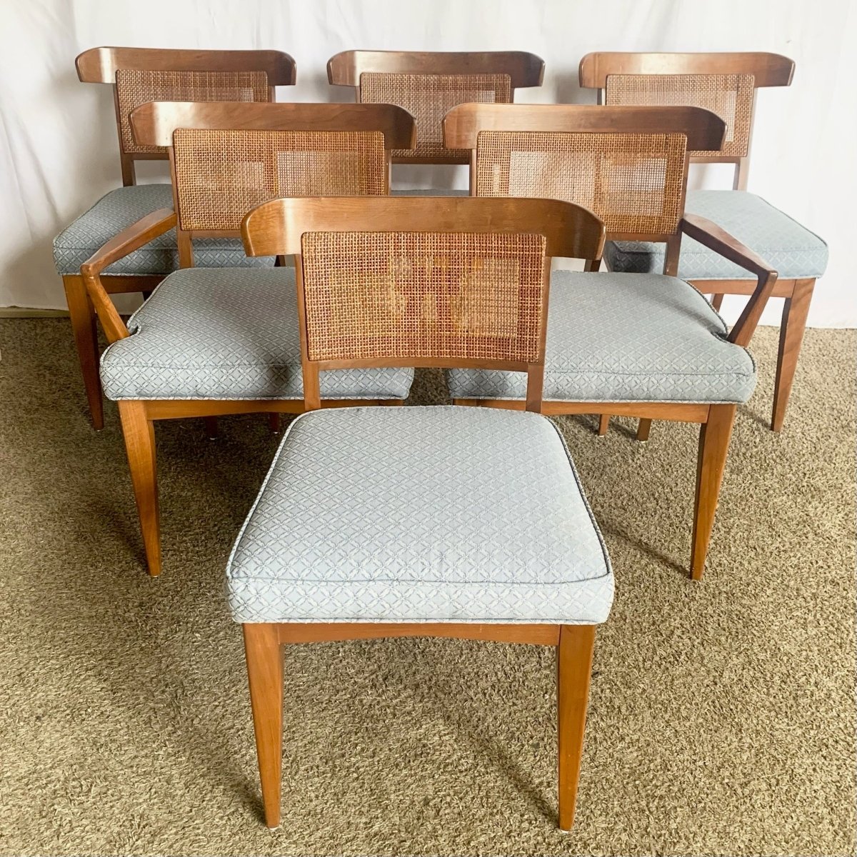 Mid Century Modern Wood and Cane Dining Chairs - Set of 6 - Dolphin & Flamingo