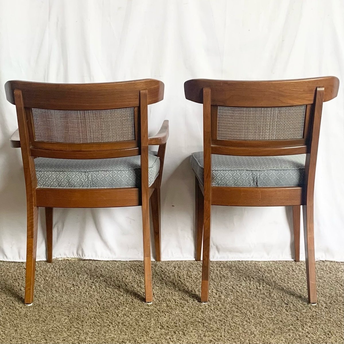 Mid Century Modern Wood and Cane Dining Chairs - Set of 6 - Dolphin & Flamingo