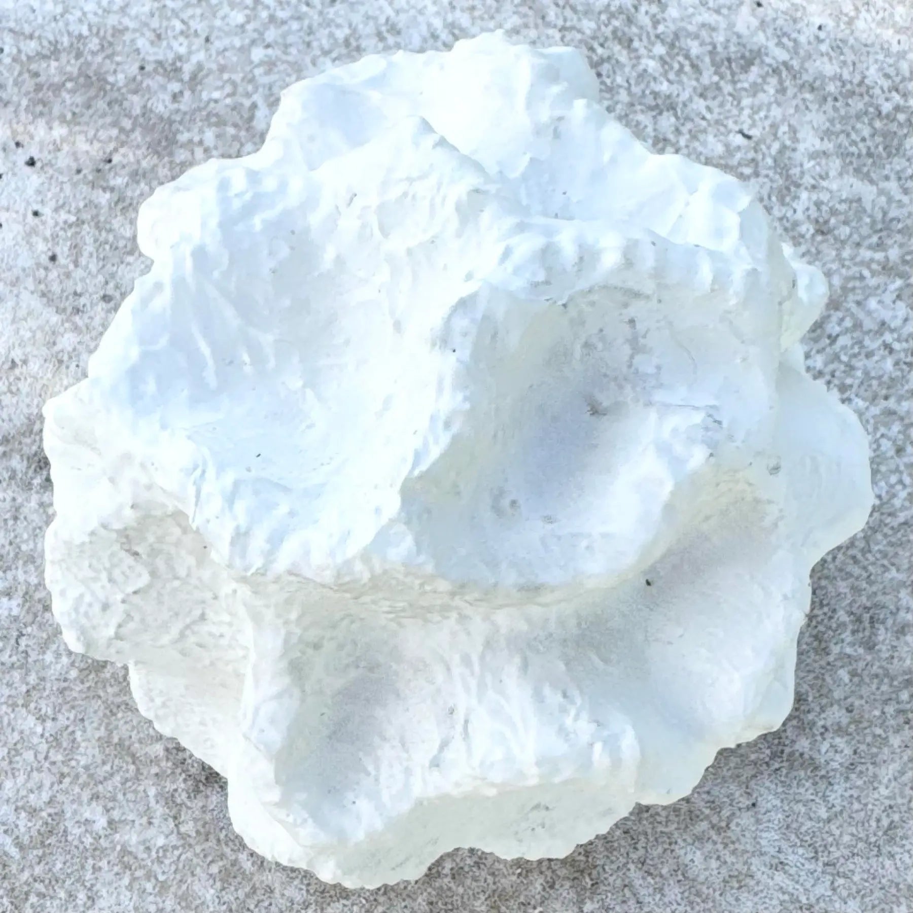 Minimalist Abstract Textured Spherical Plaster Sculpture Dolphin & Flamingo