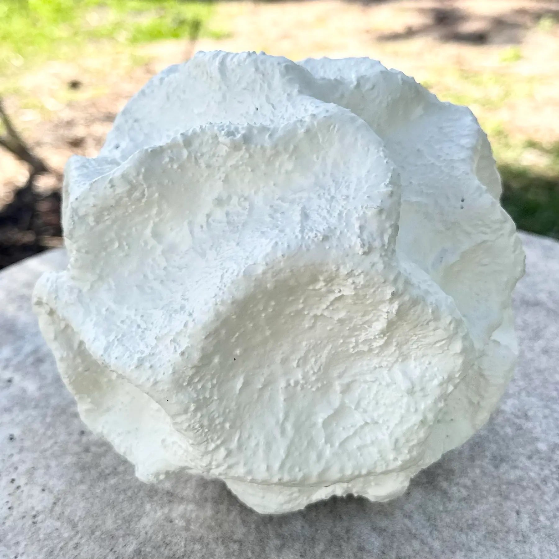 Minimalist Abstract Textured Spherical Plaster Sculpture Dolphin & Flamingo