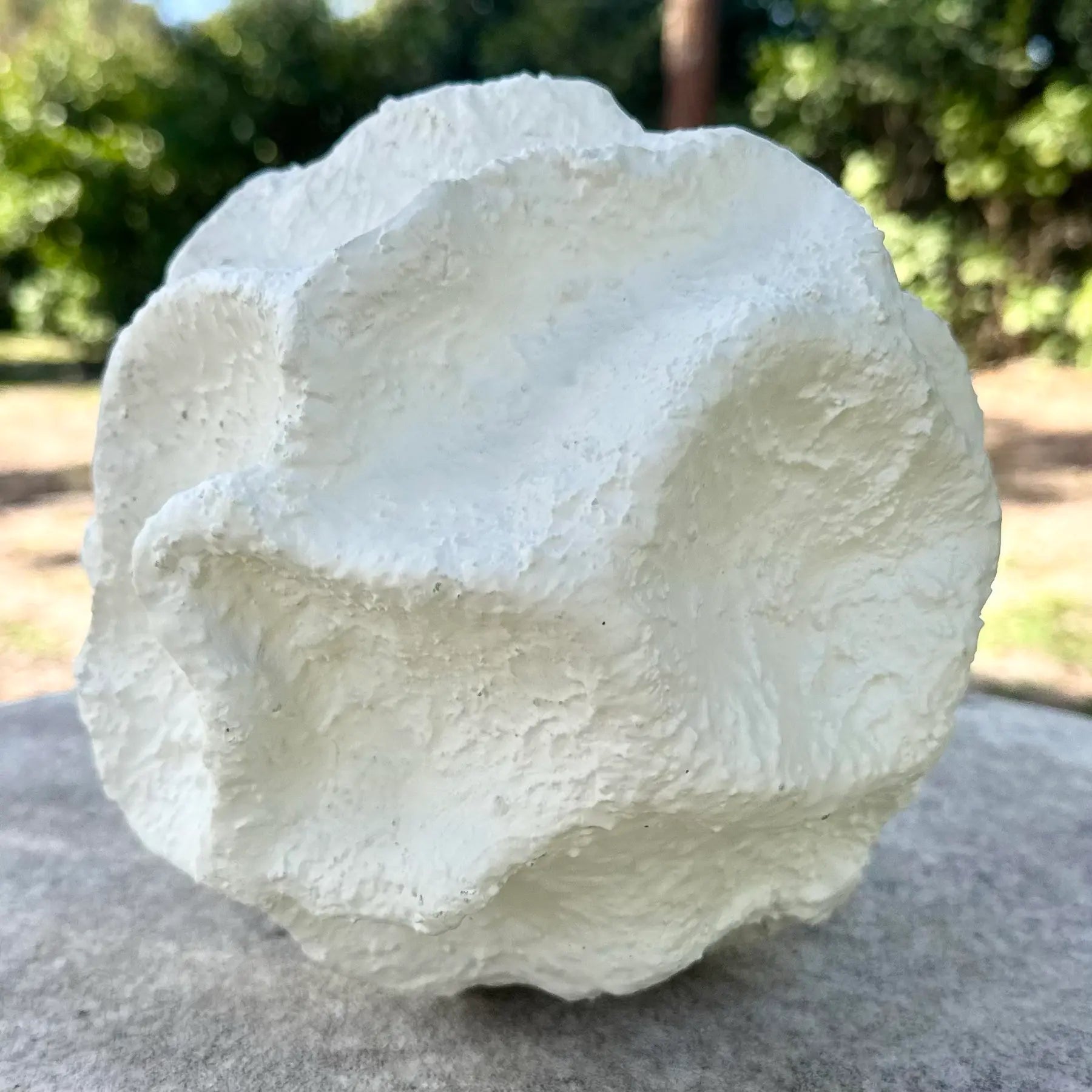 Minimalist Abstract Textured Spherical Plaster Sculpture Dolphin & Flamingo