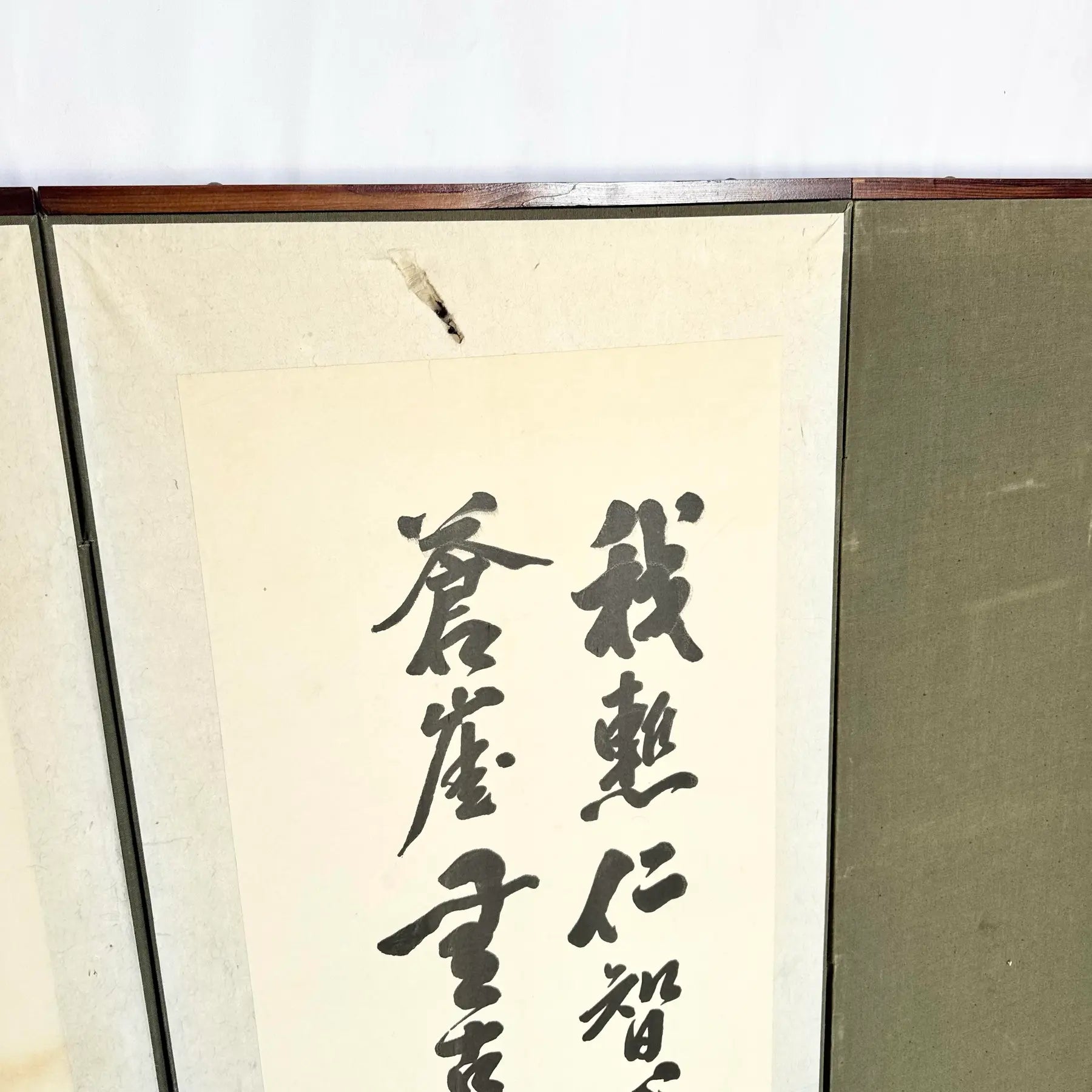 Vintage Chinese 6 Panel Screen/Room Divider