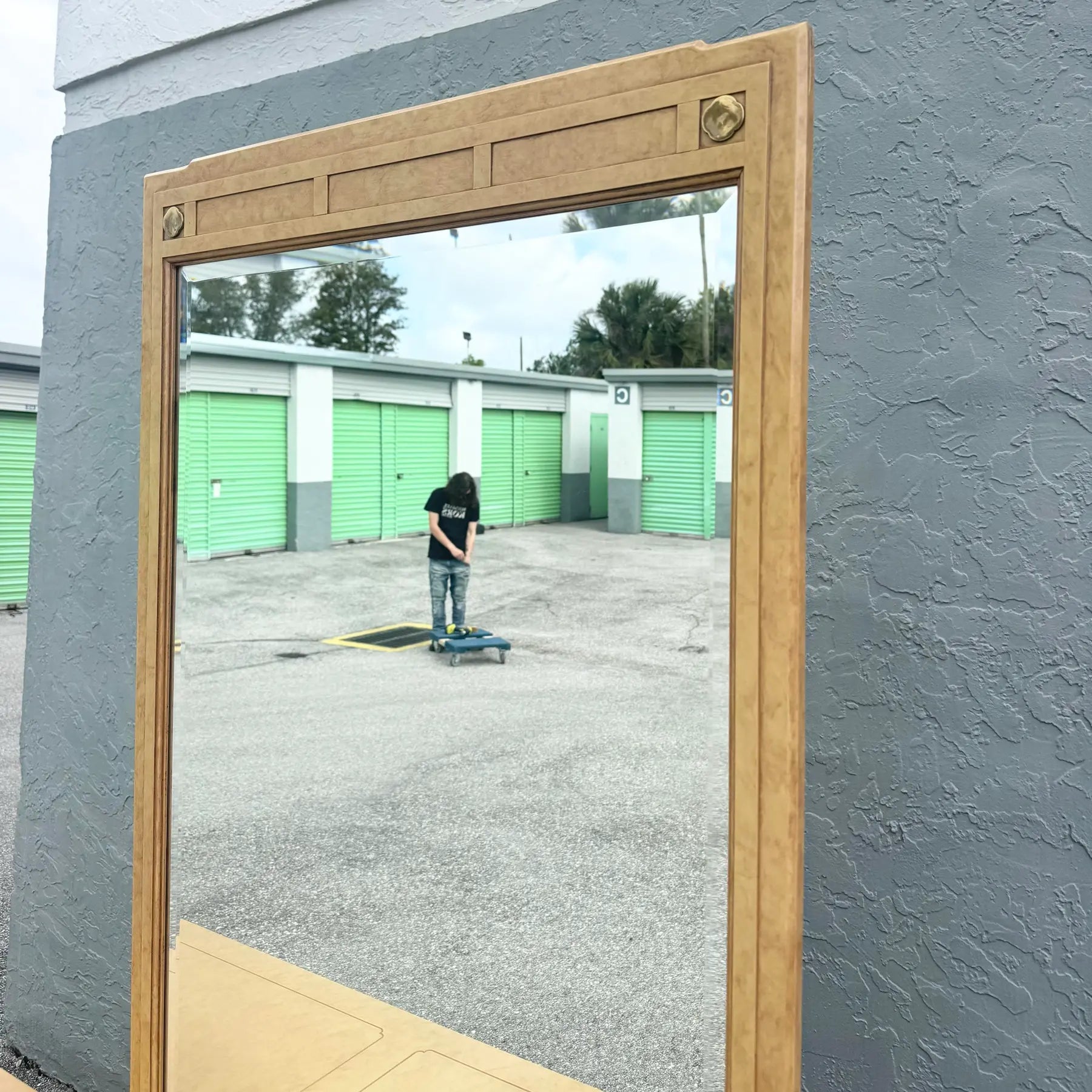 Vintage Chinoiserie Dresser and Mirror With Brass Accents by White Furniture Dolphin & Flamingo