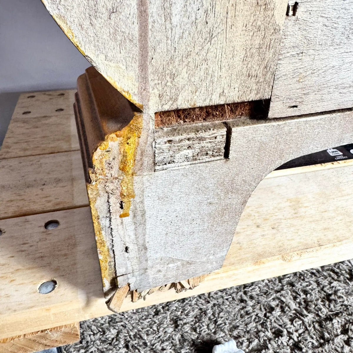 Vintage Venetian Bombe Burlwood Dresser - Dolphin & Flamingo