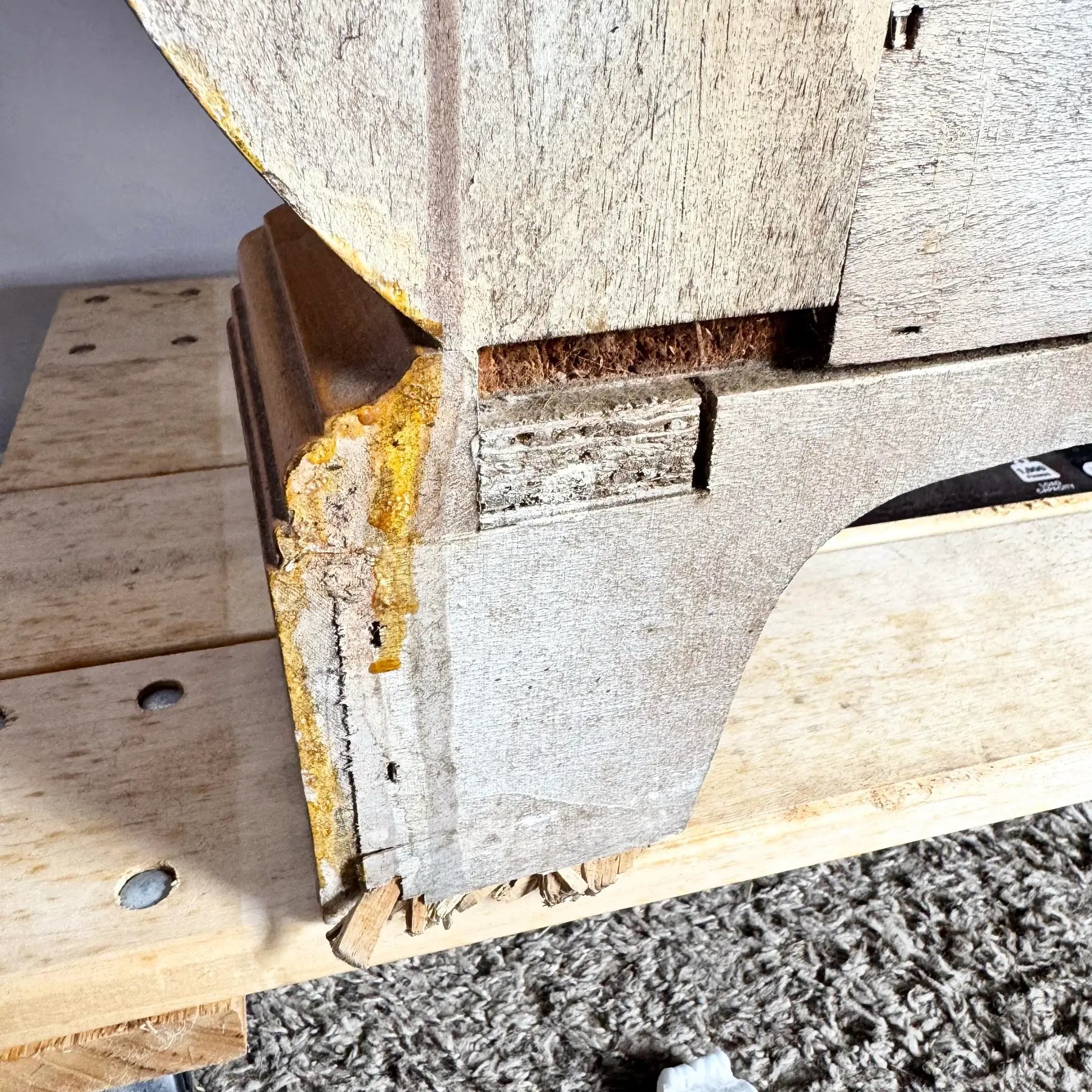 Vintage Venetian Bombe Burlwood Dresser